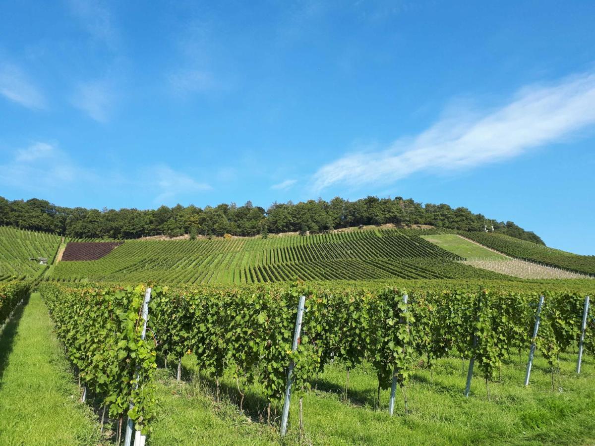 אברשטאדט Weinlodge Am Geissberg מראה חיצוני תמונה